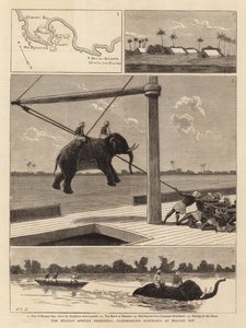 Belgian Afrikka-retkikunta, norsujen maihinnousu Msasani Bayssä